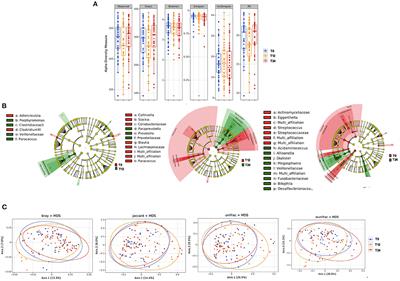 Long-Term Suppressive cART Is Not Sufficient to Restore Intestinal Permeability and Gut Microbiota Compositional Changes